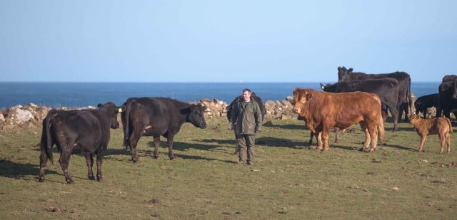 Farming (Tom McDonnell)